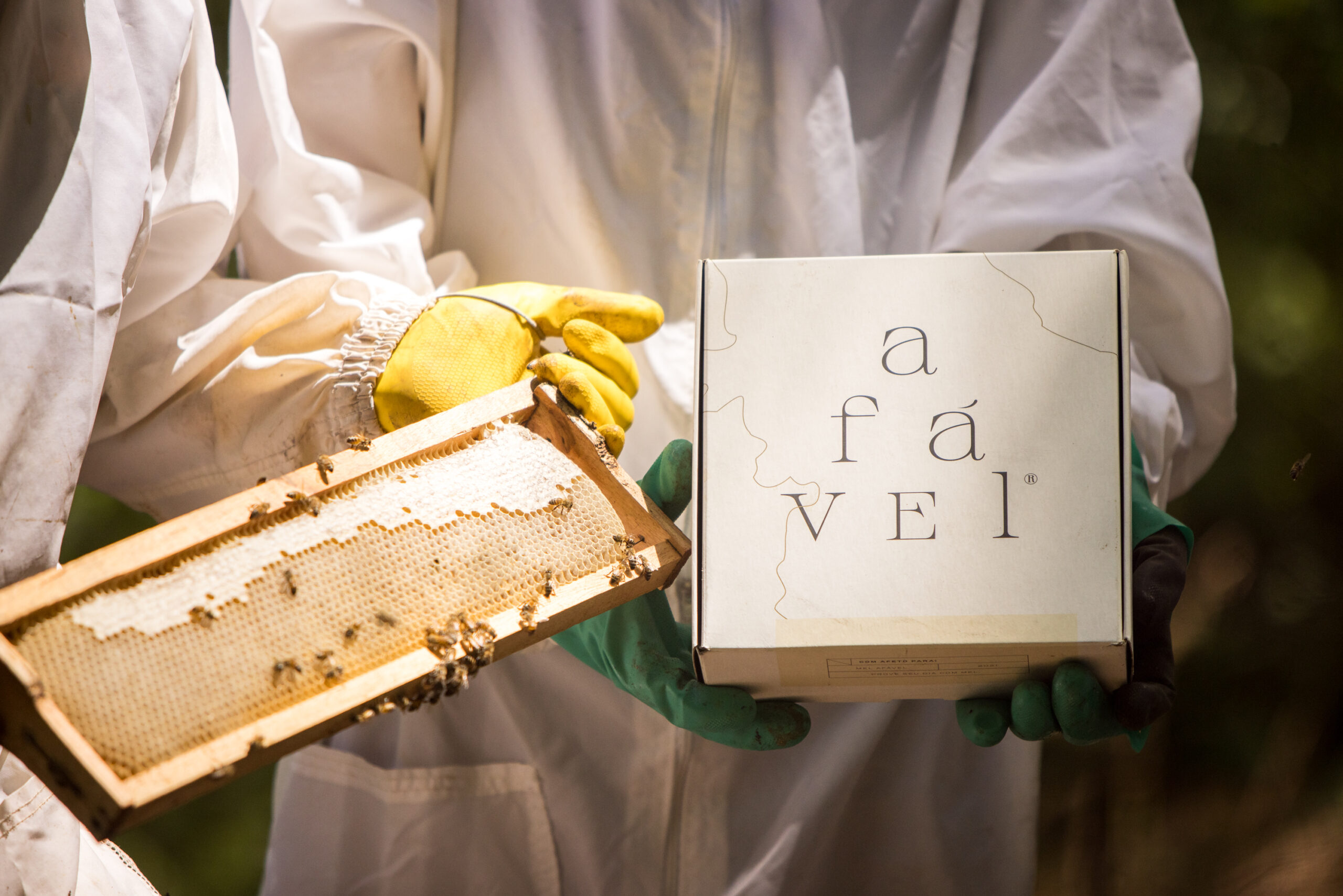 Consolidada no ramo da carne, loja amplia portfólio e aposta na produção de mel cru raro