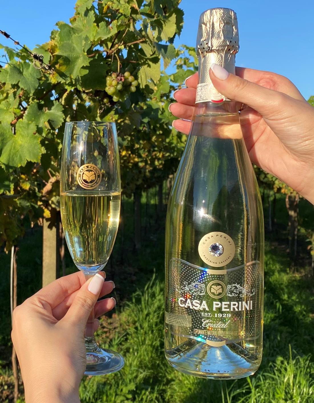 Em apenas quatorze dias, Casa Perini esgota seu mais novo rótulo lançado