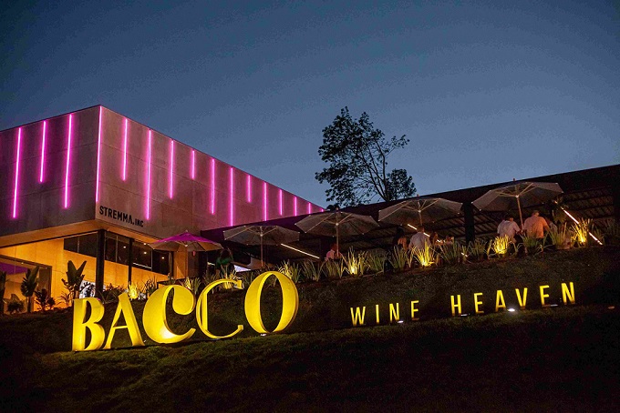 A cultura do vinho no Bacco Wine Heaven, o primeiro Resort Eno Experiences do Brasil