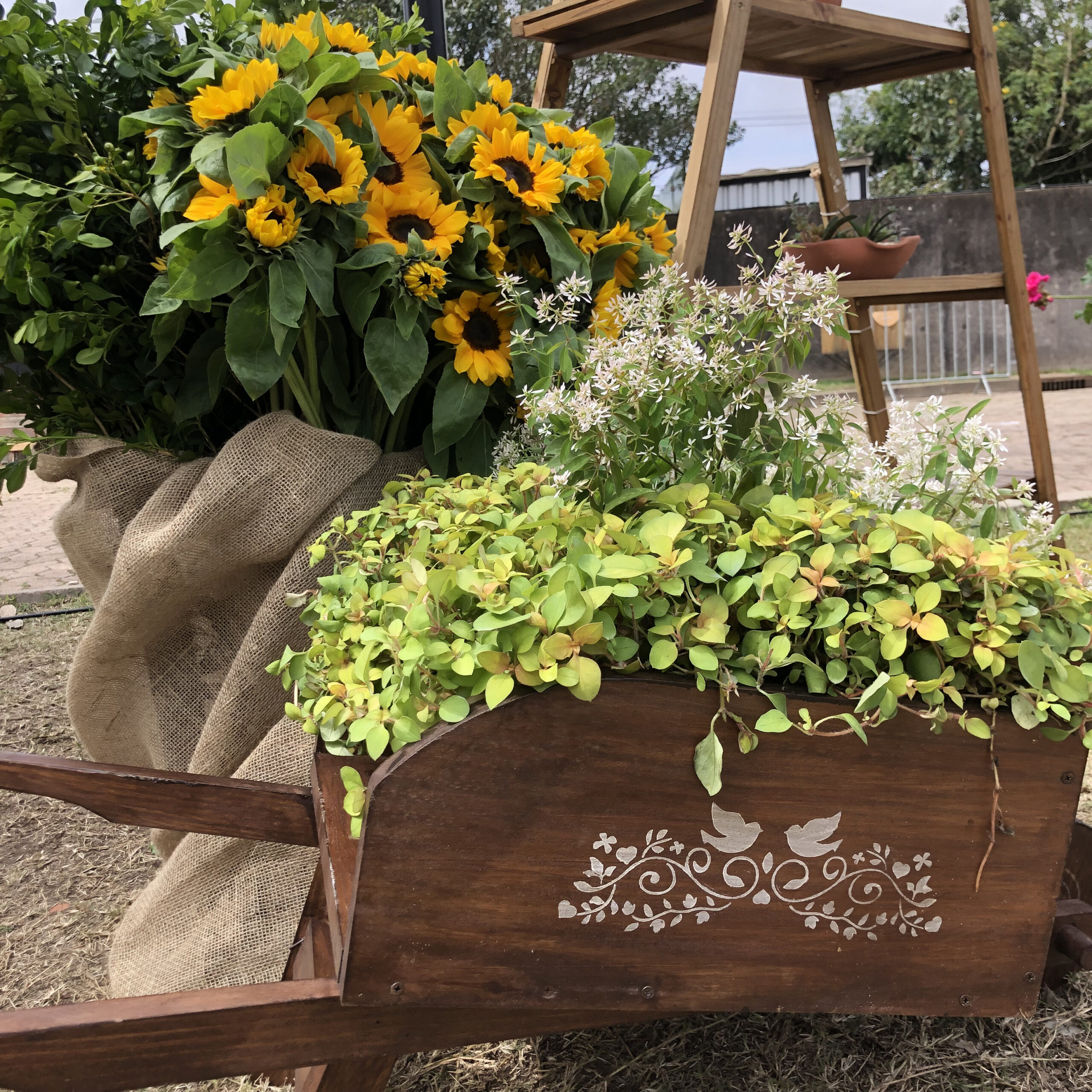 Flores no Cais exalta a chegada da primavera