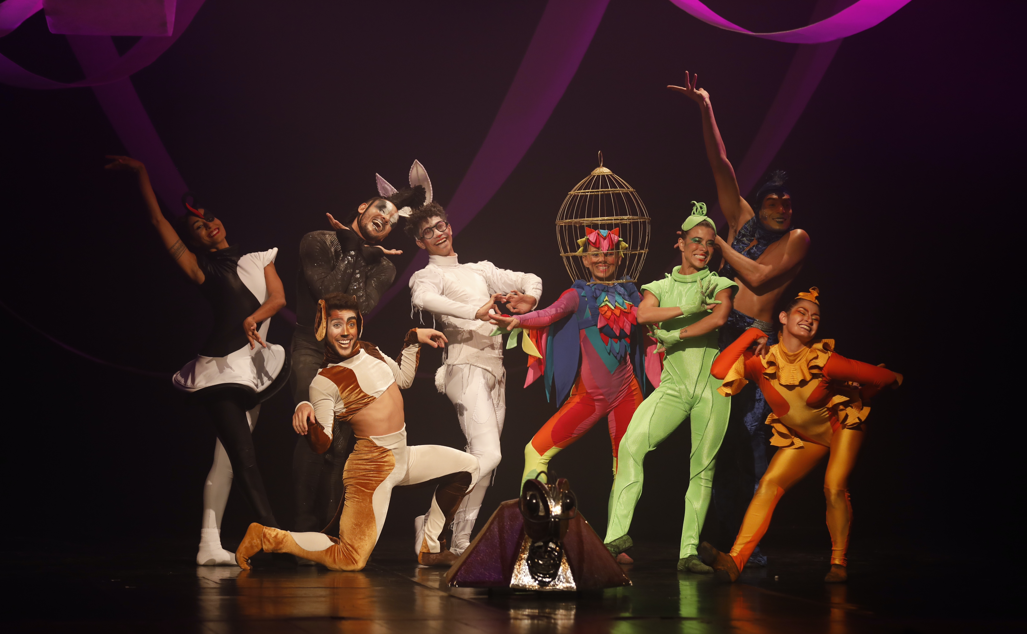 Focus Cia. de Dança apresenta Bichos Dançantes e Still Reich nos dias 21 e 22 de outubro no Theatro São Pedro