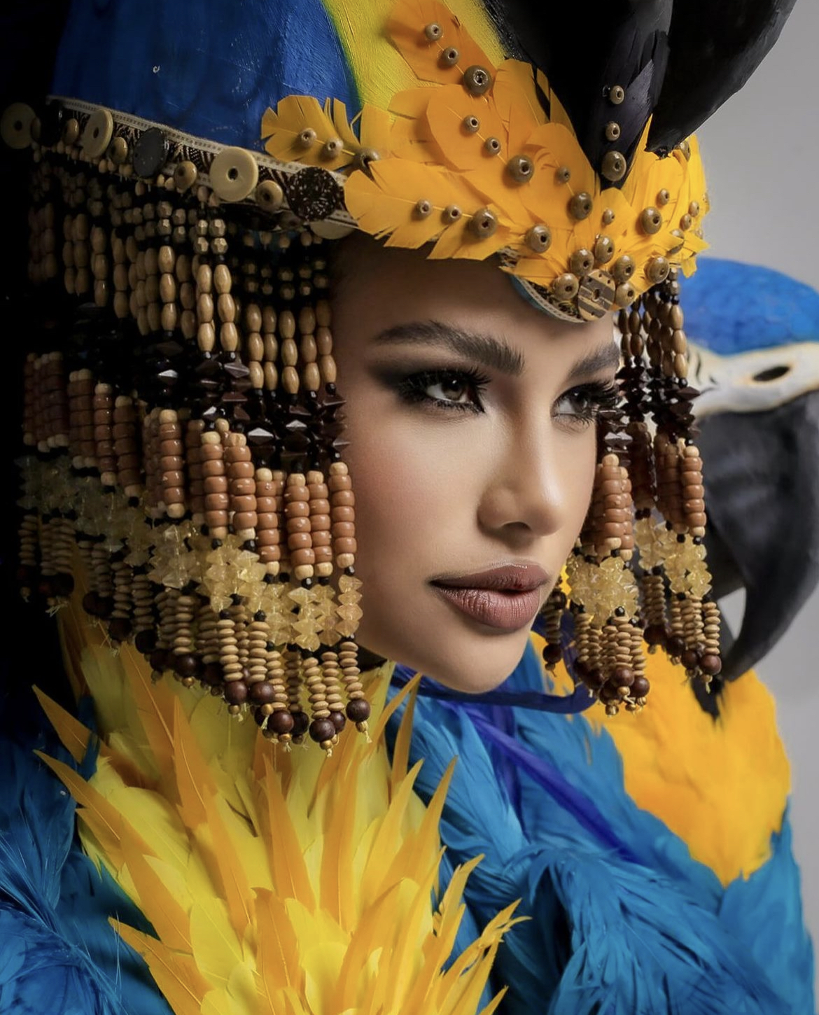 Miss Universo Brasil e a preservação da Arara Azul