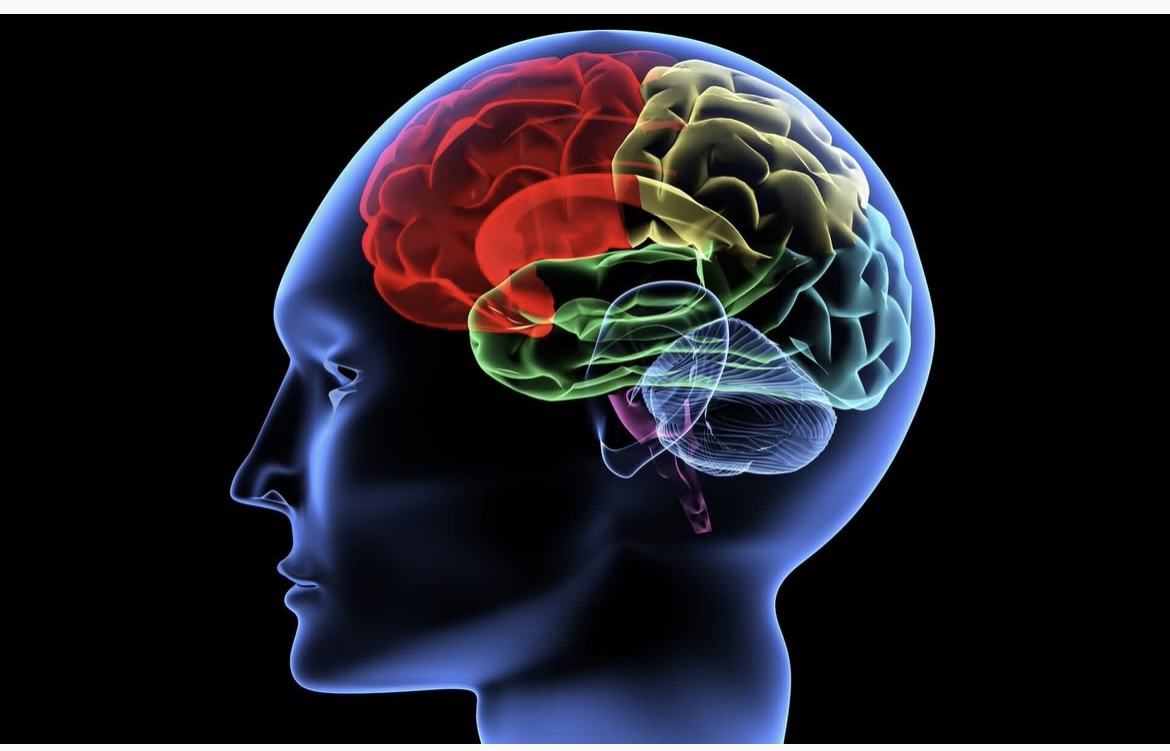 O cérebro humano e a quantidade de informações
