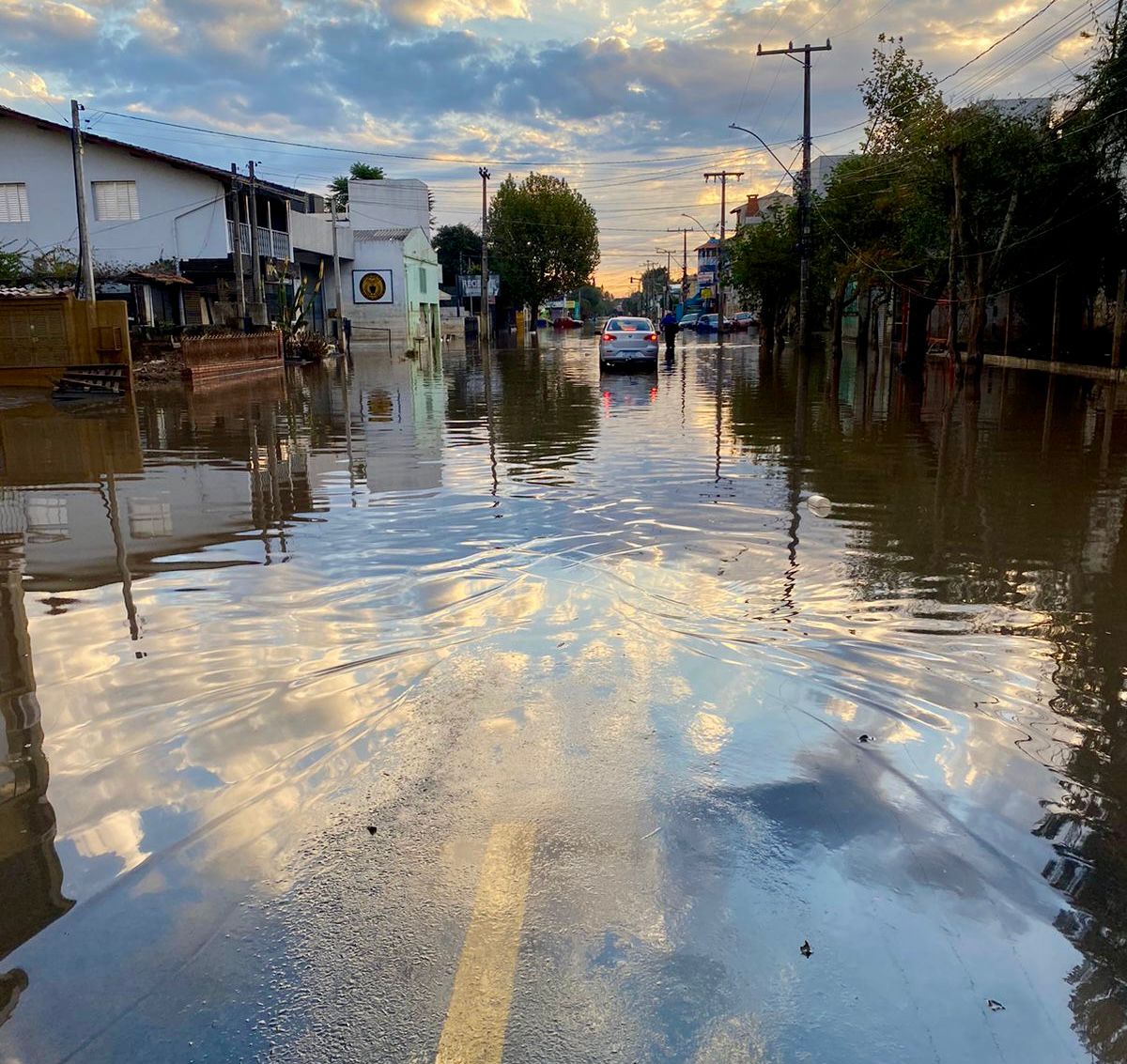 Alerta sobre Dioctophyma Renale em animais resgatados das enchentes no RS