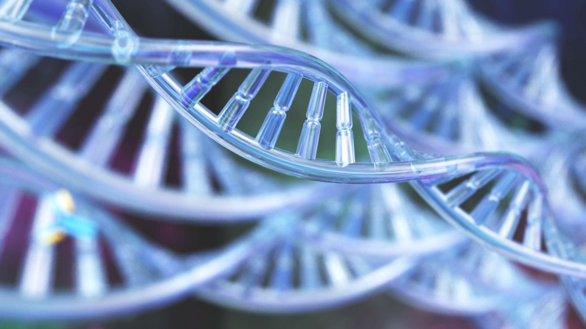 Doenças reumáticas e hereditariedade: quando a genética é só parte da história